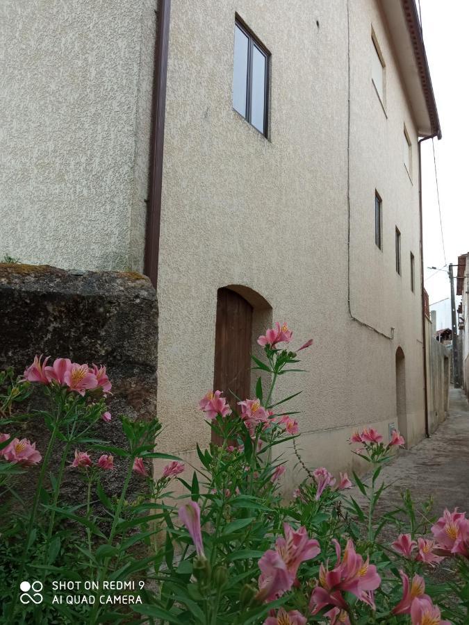 Casa Dos Grilos Penacova Exterior photo